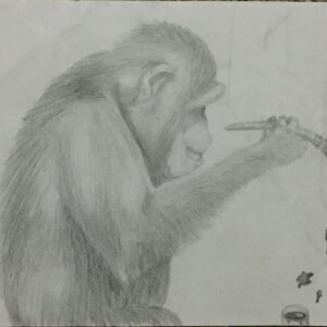 Modern Art Chimp - pencil drawing